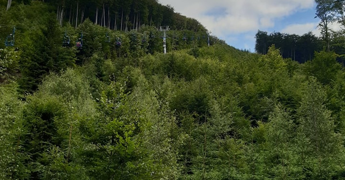 Podpora turismu na místech, která praskají ve švech, je nošení dříví do lesa