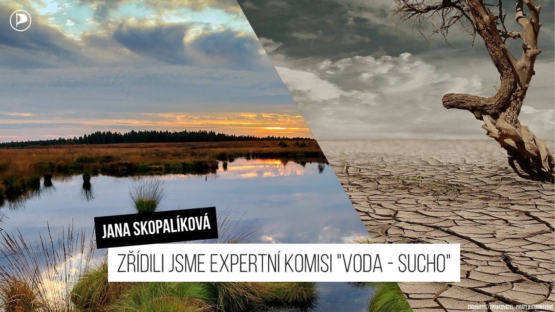 Jana Skopalíková: Zřídili jsme expertní komisi