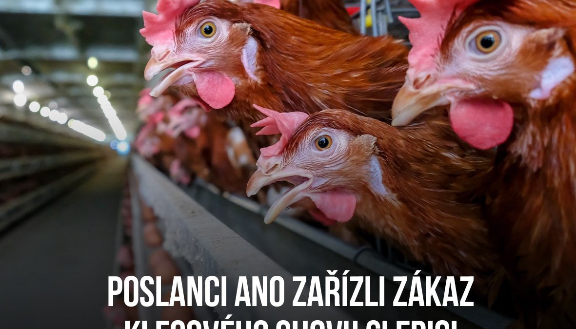Únor ve Sněmovně z pohledu Jana Pošváře