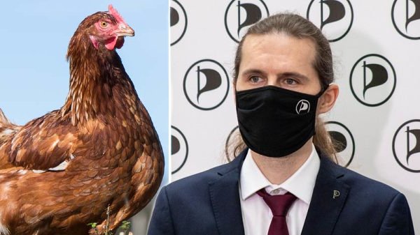 Listopad ve Sněmovně