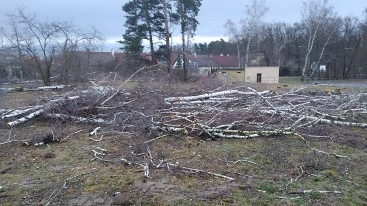 Otevřený dopis Radě města Dubňany