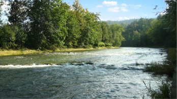 Olomoucký kraj podpoří finančním darem odklízení otrávené řeky Bečvy