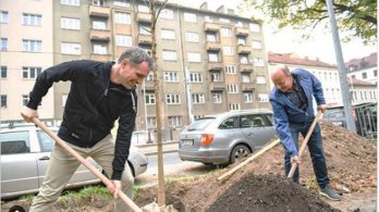 Adoptujte si strom. Hlavní město zve Pražany ke společné péči o městské stromy