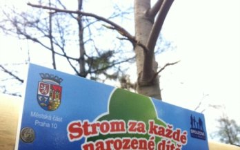 MČ Praha 10 vysadila 33 nových stromů za narozené děti