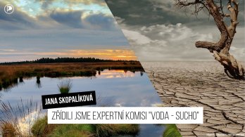 Jana Skopalíková: Zřídili jsme expertní komisi 